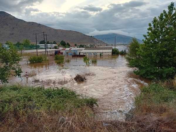 Χρ. Τριαντόπουλος για πλημμύρες στη Θεσσαλία: Μέχρι τώρα 12.661 επιχειρήσεις και αγρότες έλαβαν την προκαταβολή της κρατικής αρωγής