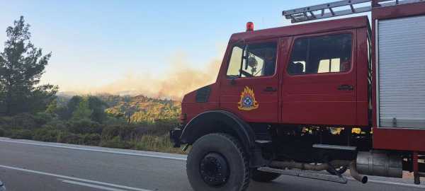 Πυρκαγιά σε αγροτοδασική έκταση στη Βοιωτία – Υπό έλεγχο η φωτιά στην Παιανία