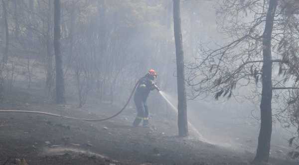 Κ. Λαγουβάρδος: Πρέπει να μάθουμε να ζούμε με το ολοένα και θερμότερο κλίμα – Κανόνας οι ανεξέλεγκτες δασικές πυρκαγιές