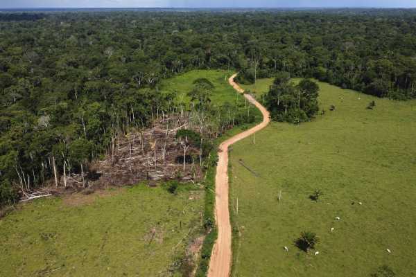 Διάσκεψη Κορυφής στη Βραζιλία για τη διάσωση της Αμαζονίας