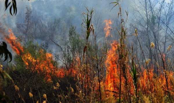 Κίνδυνος Πυρκαγιάς πολύ υψηλός αύριο Τετάρτη για όλη την Κρήτη