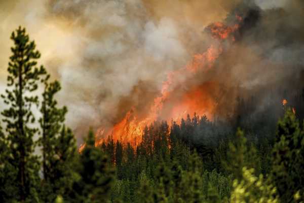 Copernicus: Ρεκόρ εκπομπών άνθρακα από τις δασικές πυρκαγιές στον Καναδά