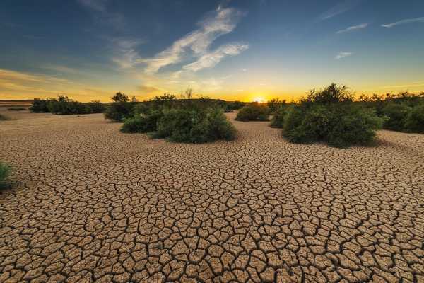 Έρευνα: Η άνοδος της θερμοκρασίας υπερθερμαίνει το έδαφος με άγνωστες συνέπειες για τον πλανήτη