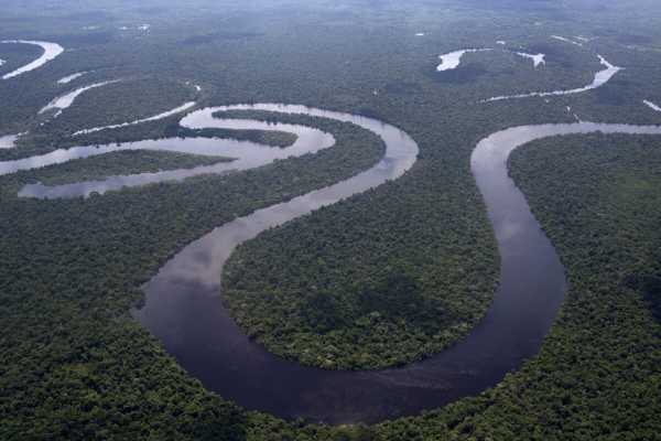 Ο Λεονάρντο Ντι Κάπριο και ο Τζεφ Μπέζος βοηθούν στη δημιουργία ταμείου 200 εκατομμυρίων δολαρίων για την προστασία του Αμαζονίου