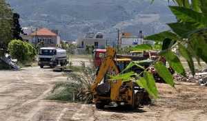 Χανιά: Καταγγελία Πρωτοβουλίας Πολιτών για κόψιμο δέντρων στο Στρ. Μαρκοπούλου | φωτο