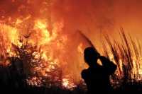 Πορτογαλία: Στη μάχη εκατοντάδες πυροσβέστες για να οριοθετήσουν μεγάλη φωτιά στην Κασκάις
