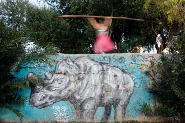 meta-Rινόκερος: Μία περιπατητική περφόρμανς στην Ακαδημία Πλάτωνος