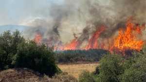 Πυροσβεστική: Σε ύφεση η πυρκαγιά στον Έβρο – 82 πυρκαγιές σήμερα