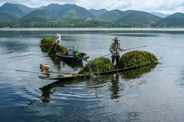 Η φημισμένη λίμνη Ίνλε της Μιανμάρ πνίγεται από τα πλωτά αγροκτήματα