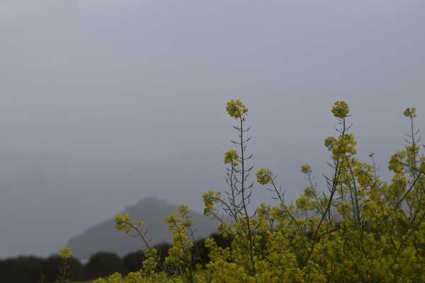 Ο καιρός με τον Π. Γιαννόπουλο: Σκόνη, τοπικές βροχές και άνοδος της θερμοκρασίας – Βροχές και καταιγίδες από την Πέμπτη στα δυτικά και βόρεια