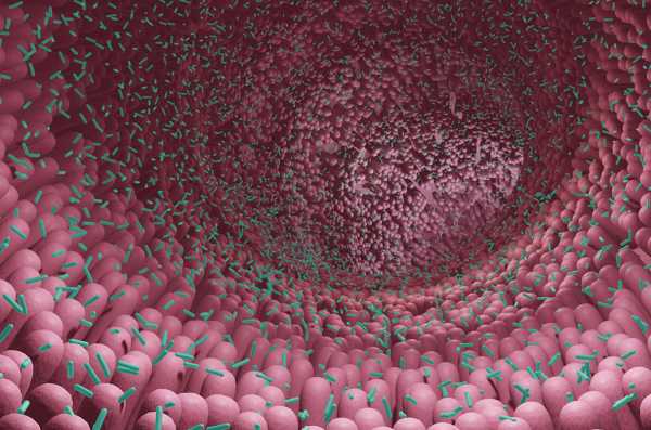 Επιστήμονες ανακάλυψαν μια νέα κατηγορία ζωής στο ανθρώπινο μικροβίωμα