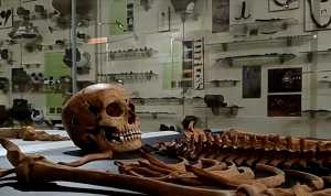 Ένθετο Κόσμος: Αρχαιολόγοι στην Πολωνία ανακάλυψαν οστά «βρικόλακα» του 17ου αιώνα