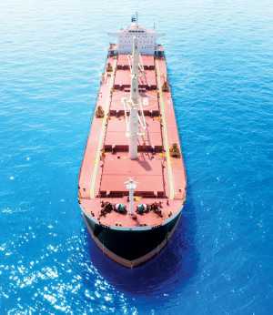 Νέα bulk carriers στους στόλους των εφοπλιστών