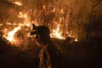 Μεξικό: Τέσσερις νεκροί από τις δεκάδες δασικές πυρκαγιές που μαίνονται στη χώρα