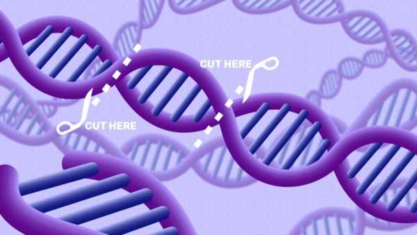 CRISPR 2.0: Μια νέα γενιά γονιδιακών επεξεργαστών δοκιμάζεται σε κλινικές δοκιμές
