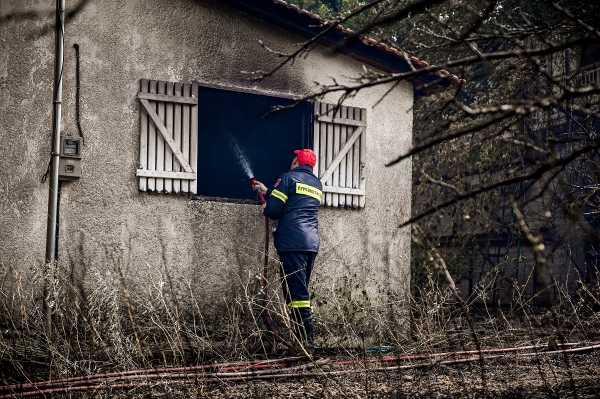Πυρκαγιές: Αναστέλλονται για 6 μήνες οι πλειστηριασμοί για τους πληγέντες