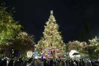 Φωταγώγηση του χριστουγεννιάτικου δέντρου της πλατείας Συντάγματος