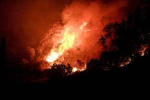 Υπερδιπλασιάστηκαν οι δασικές πυρκαγιές σε παγκόσμια βάση τα τελευταία 20 χρόνια