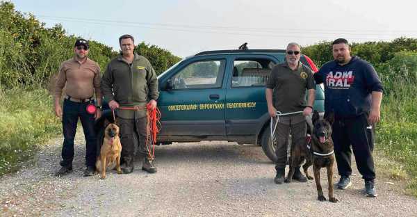 Σκύλοι ανίχνευσης δηλητηριασμένων δολωμάτων και στις Κυνηγετικές Συνομοσπονδίες