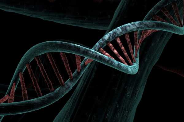 Το αρχαίο ιικό DNA είναι «σύμμαχος του καρκίνου», υποστηρίζει νέα μελέτη