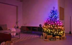 Ποιο είναι το ιδανικό χριστουγεννιάτικο δέντρο;