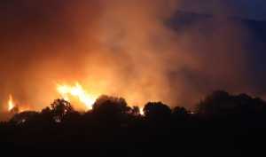 Χανιά: Πυρκαγιά στα Αφράτα σήμανε συναγερμό στην Πυροσβεστική