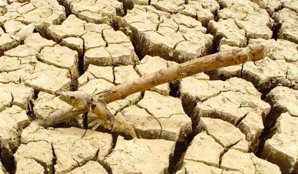 Η ξηρασία “χτυπά” την πόρτα στην Ελλάδα | Δυσοίωνες οι προβλέψεις για την Ανατολική Κρήτη