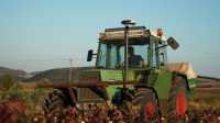Δ. Σταμενίτης στο ΕΡΤΝews: Τις επόμενες μέρες θα εκδοθεί η «Κάρτα του Αγρότη» – Εντείνονται οι έλεγχοι στην αγορά ενόψει Πάσχα