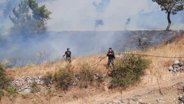 Χανιά: Πυρκαγιά στο Σέλινο κινητοποίησε την πυροσβεστική |  6 ώρες πάλευαν οι πυροσβέστες με τις φλόγες