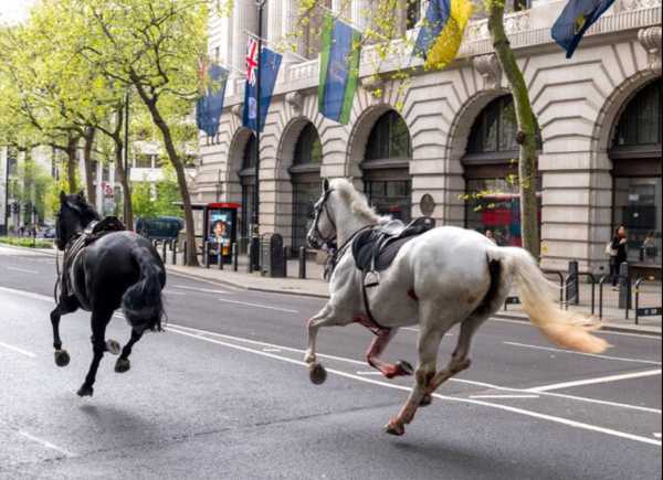 Βρετανία: Σε σοβαρή κατάσταση τα δυο άλογα που χθες κάλπαζαν στο κέντρο του Λονδίνου – Τραυματισμένοι τρεις στρατιώτες