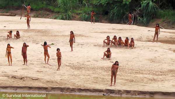 Αμαζόνιος: Η εντατική υλοτομία θέτει σε κίνδυνο και τις πιο απομονωμένες φυλές του πλανήτη