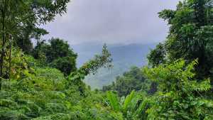 Μισό εκατομμύριο άνθρωποι διέσχισαν τη ζούγκλα του Νταριέν το 2023 καθ’ οδόν προς τις ΗΠΑ