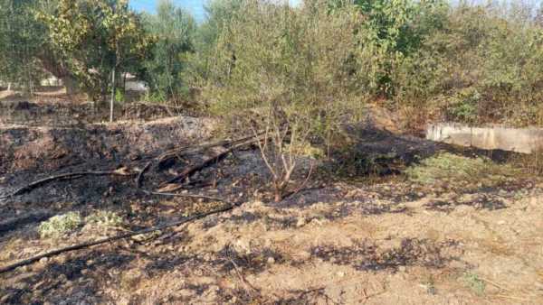 Κρήτη: Kάηκε γεωργική έκταση στη Γαρίπα