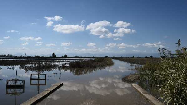 Θεσσαλία: Νέες πληρωμές πρώτης αρωγής στους πλημμυροπαθείς