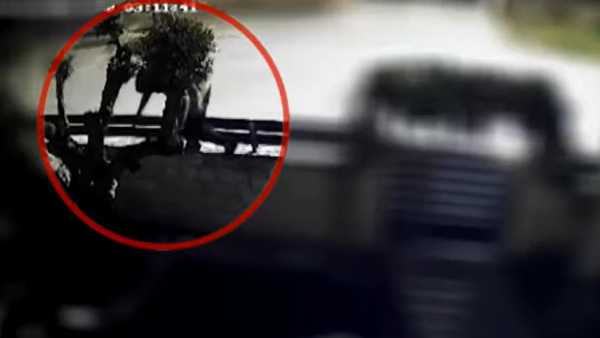 Κρήτη: Πώς έπεσε στα χέρια της αστυνομίας ο 50χρονος που ρήμαζε αυτοκίνητα στο Ηράκλειο - Αποκαλυπτικό βίντεο