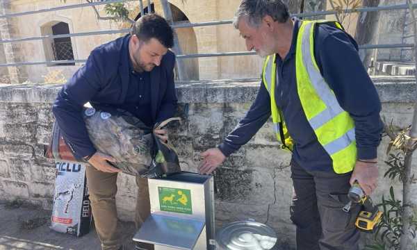 Στοχευμένες δράσεις του Δήμου Χανίων για τα αδέσποτα ζώα συντροφιάς | Επεκτείνεται με 23 νέα σημεία το δίκτυο σταθμών τροφής-νερού