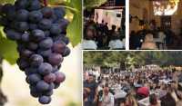 Από 30 Ιουνίου έως 9 Ιουλίου η Γιορτή Κρασιού στις Δαφνές – Αυτό είναι το πρόγραμμα