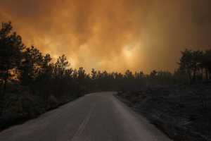 Φονικές και καταστροφικές οι δασικές πυρκαγιές του 2023: «Στάχτη» 4 δισ. στρέμματα δασών