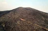 Φωτιά στον Έβρο: Πάνω από 808.000 στρέμματα η καμένη έκταση