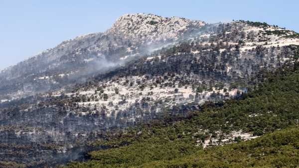 Φωτιές: Σήμερα η σύσκεψη για την αποκατάσταση των δασών του Έβρου και της Πάρνηθας