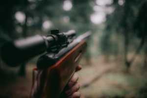 Επεισοδιακή καταδίωξη: Θηροφύλακες απειλήθηκαν με όπλο από λαθροθήρες στα Ρουσοχώρια