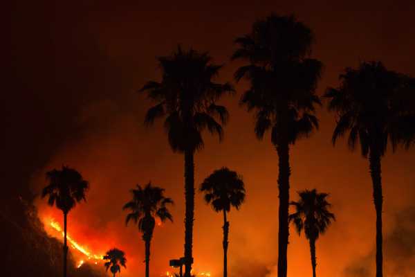 Καλιφόρνια: Πύρινα μέτωπα σε Εθνικό Δρυμό από κεραυνούς – Εντολή άμεσης εκκένωσης