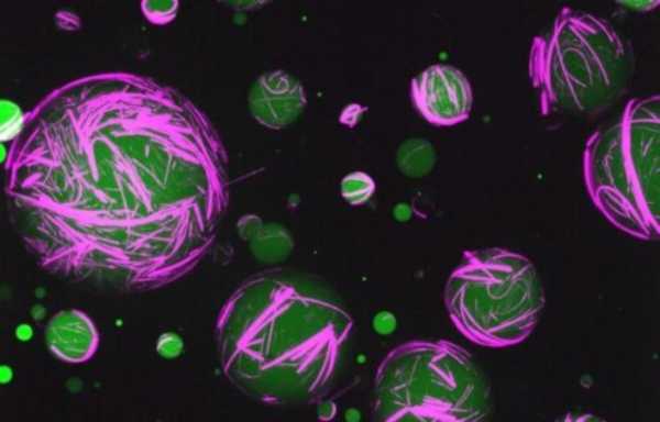 ΗΠΑ: Επιστήμονες δημιούργησαν συνθετικά κύτταρα που μοιάζουν και λειτουργούν όπως τα ανθρώπινα
